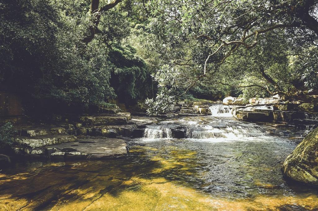 Mountain Villa Riverston Matale Kültér fotó