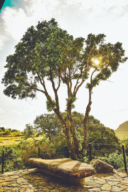 Mountain Villa Riverston Matale Kültér fotó